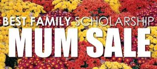 Best Family Scholarship Mum Sale