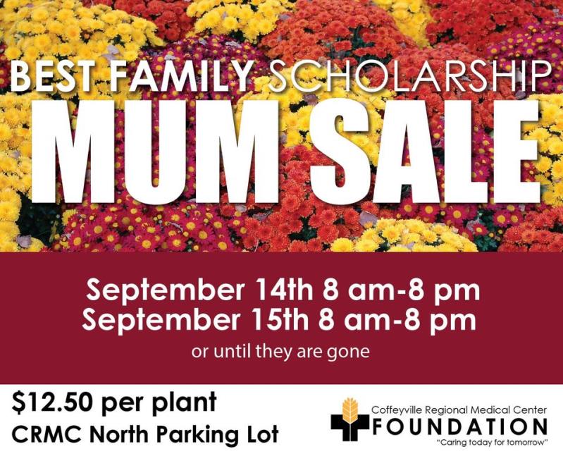 Best Family Scholarship Mum Sale
