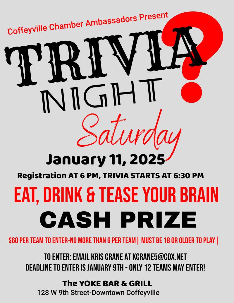 Chamber Ambassadors Trivia Night